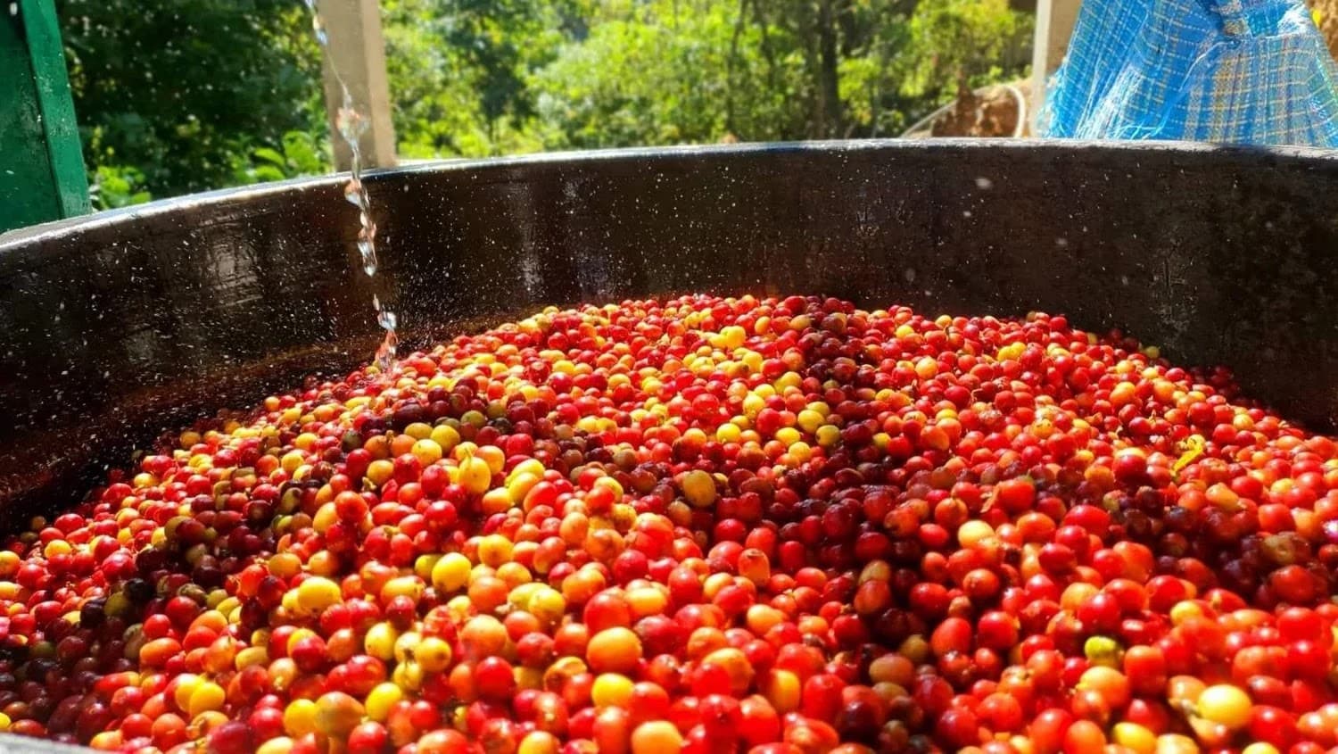 Lanna Dark Chocolate – Thailand - Khun Lao Red Honey